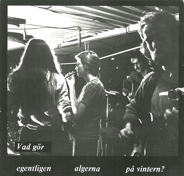 Vad Gör Egentligen Algerna På Vintern?